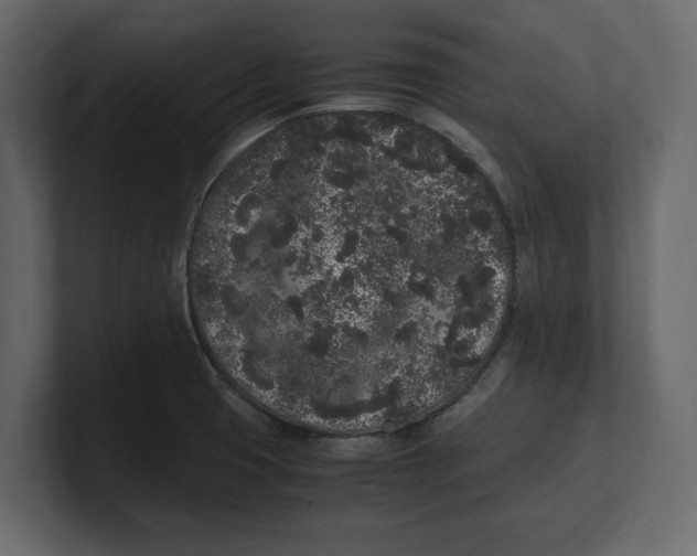 X0000100351425200806271352