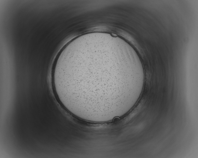 X0000100351426200806271352