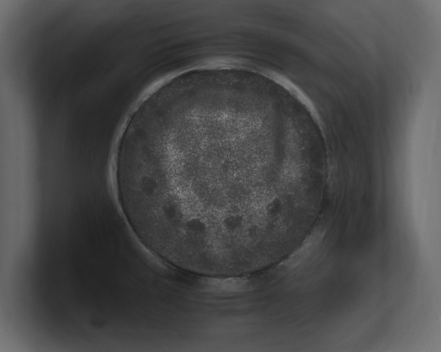 X0000100351429200806271352