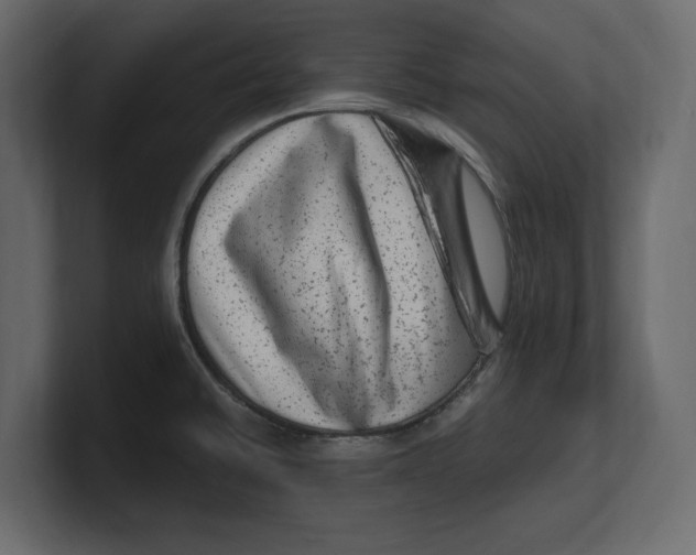 X0000100351430200806271352