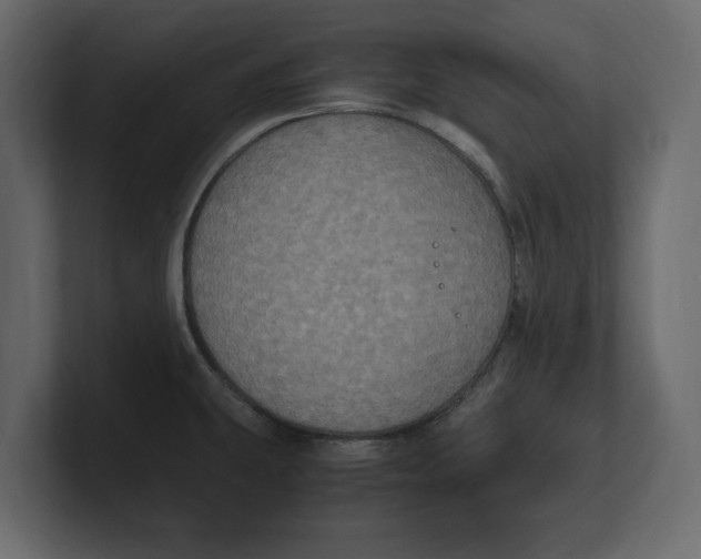 X0000100351431200806271352