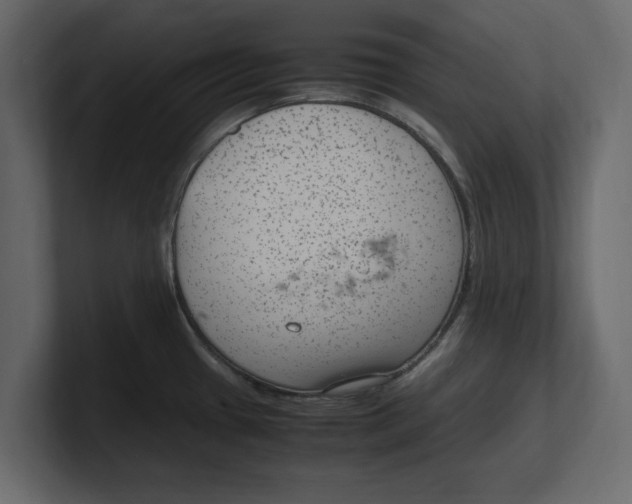 X0000100351433200806271353