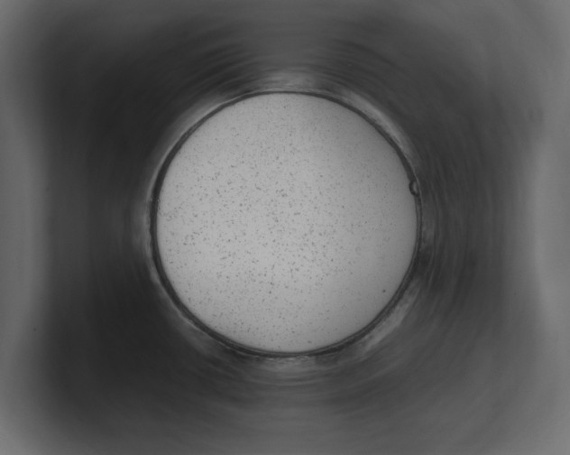 X0000100351434200806271353
