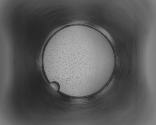 X0000100351436200806271353