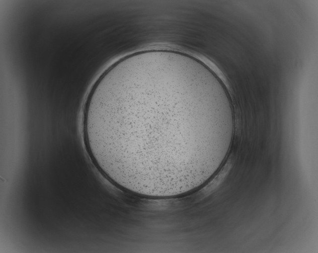 X0000100351438200806271353