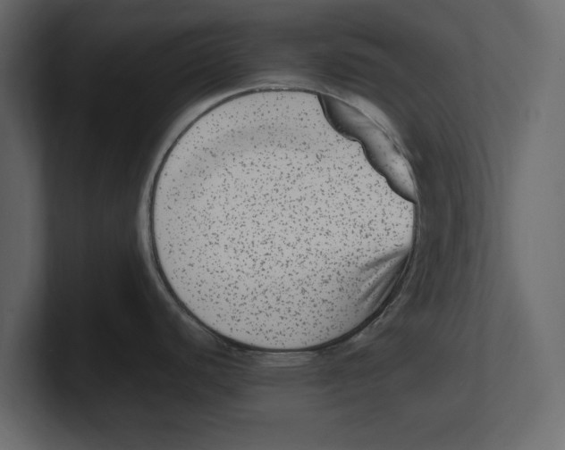 X0000100351440200806271353