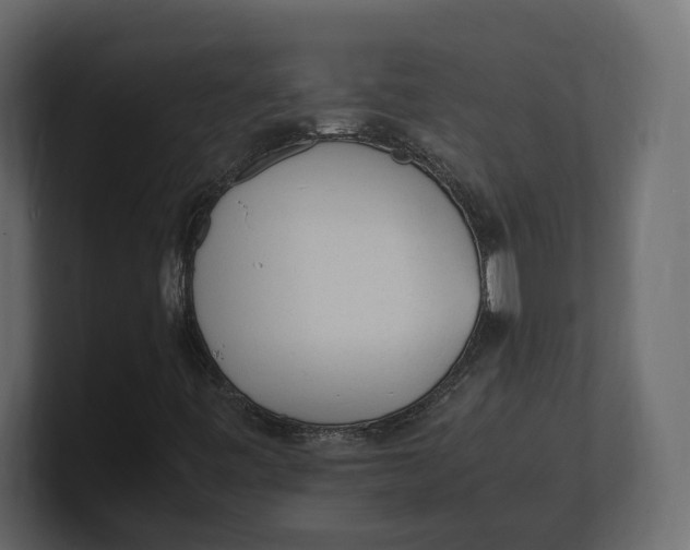 X0000100351443200806271352