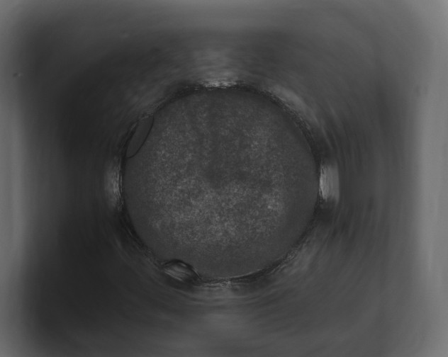 X0000100351444200806271352