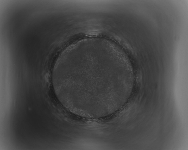X0000100351445200806271352