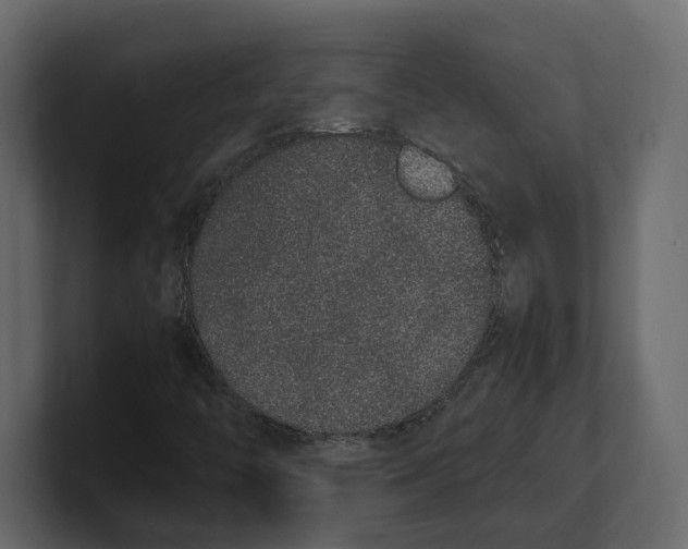 X0000100351446200806271352