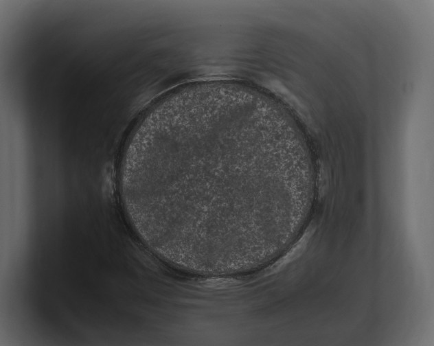 X0000100351449200806271352