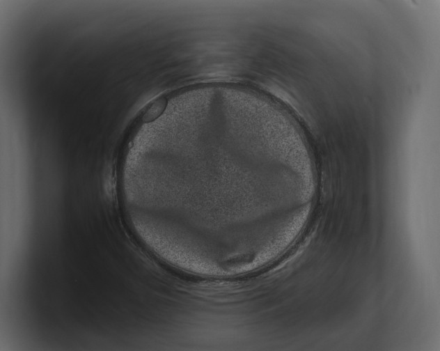 X0000100351450200806271352