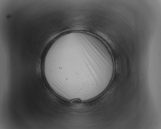 X0000100351452200806271352