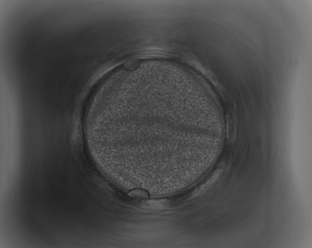 X0000100351453200806271352