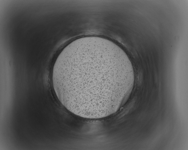 X0000100351454200806271352