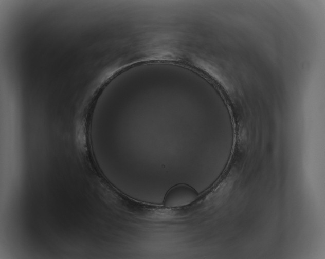 X0000100351455200806271352