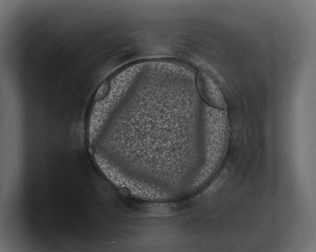 X0000100351457200806271352