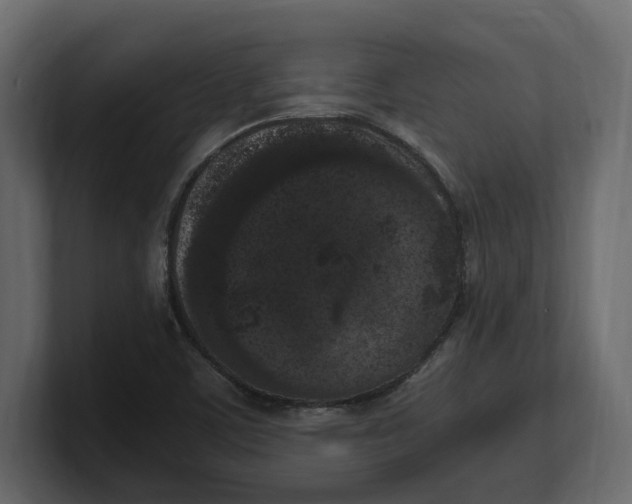 X0000100351459200806271352