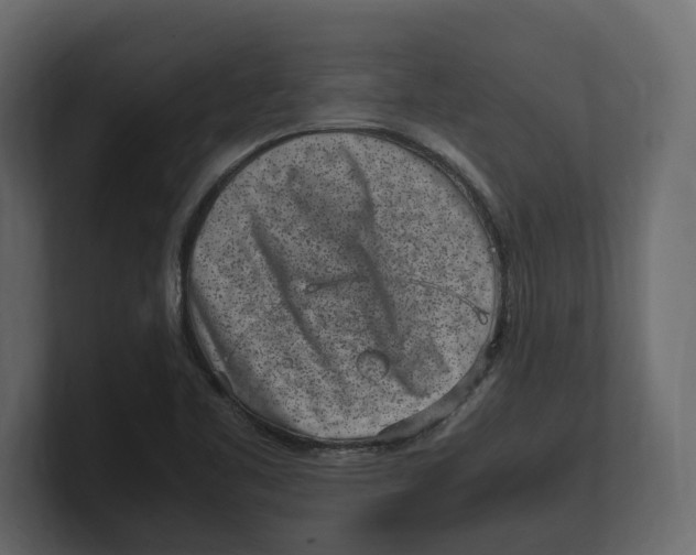 X0000100351461200806271352