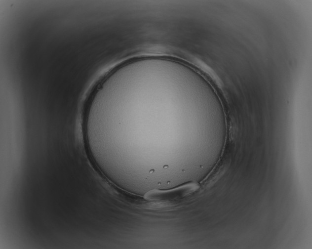 X0000100351464200806271352