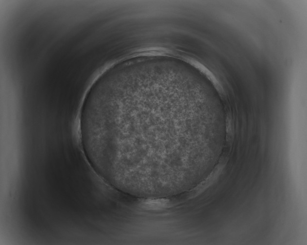 X0000100351466200806271352