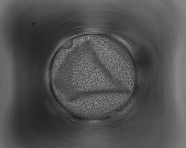 X0000100351467200806271352