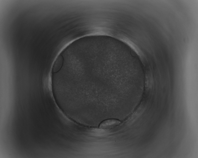 X0000100351468200806271352