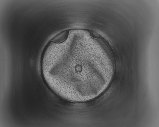 X0000100351469200806271352