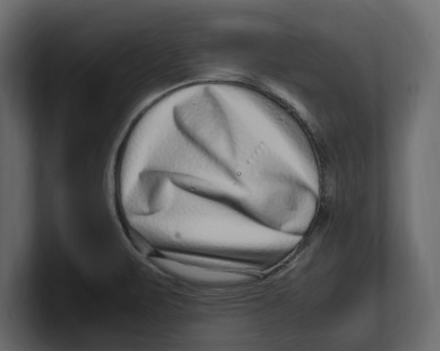 X0000100351471200806271352