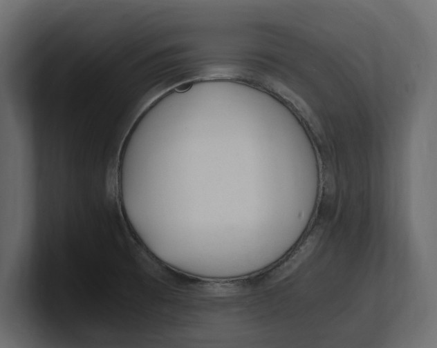 X0000100351473200806271352