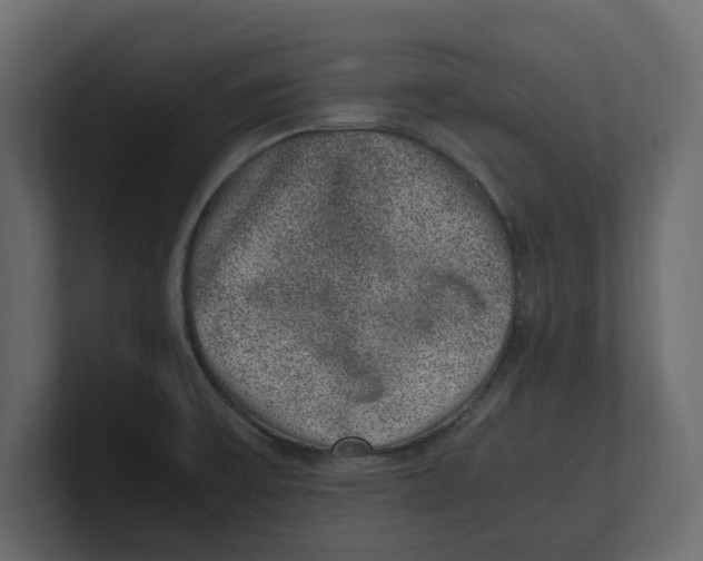 X0000100351475200806271352