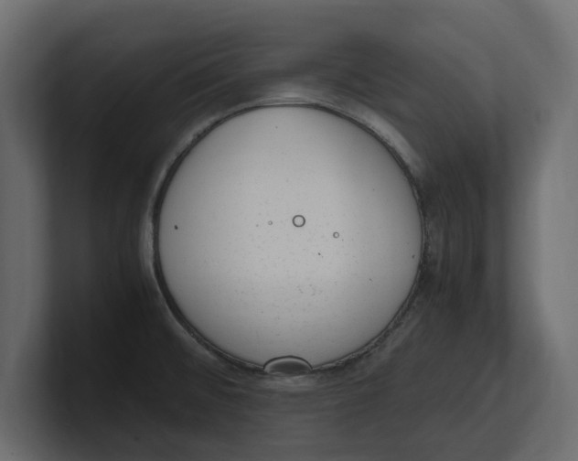 X0000100351476200806271352