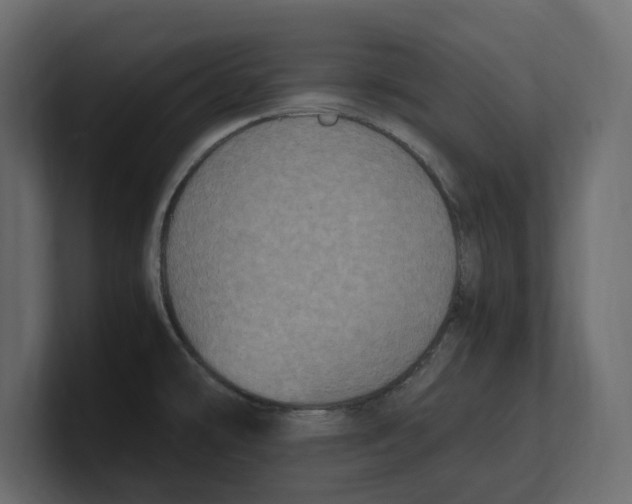 X0000100351478200806271351