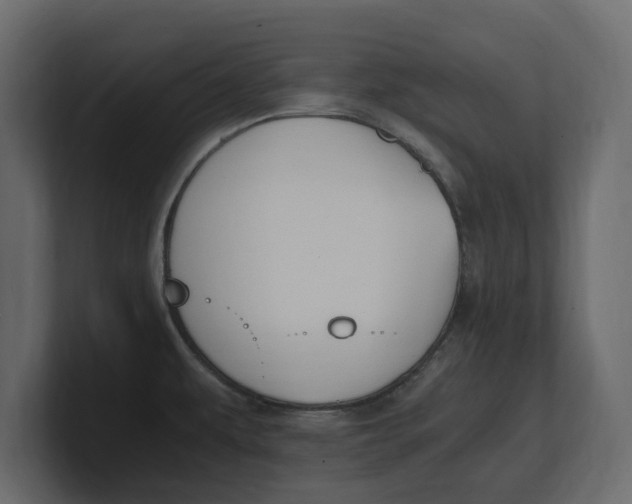 X0000100351479200806271351