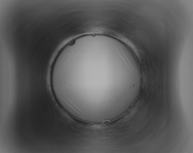X0000100351480200806271351