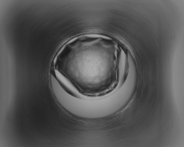 X0000100351481200806271351