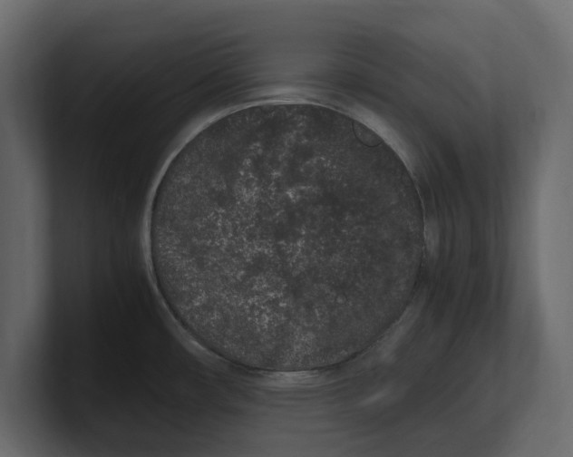 X0000100351482200806271351