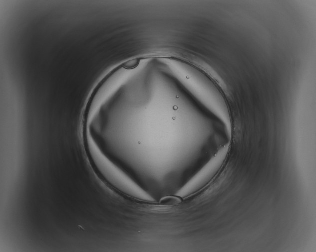 X0000100351484200806271351