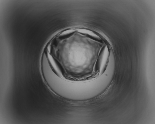 X0000100351485200806271351