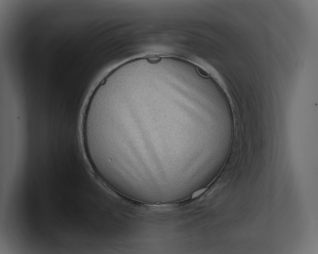 X0000100351488200806271351