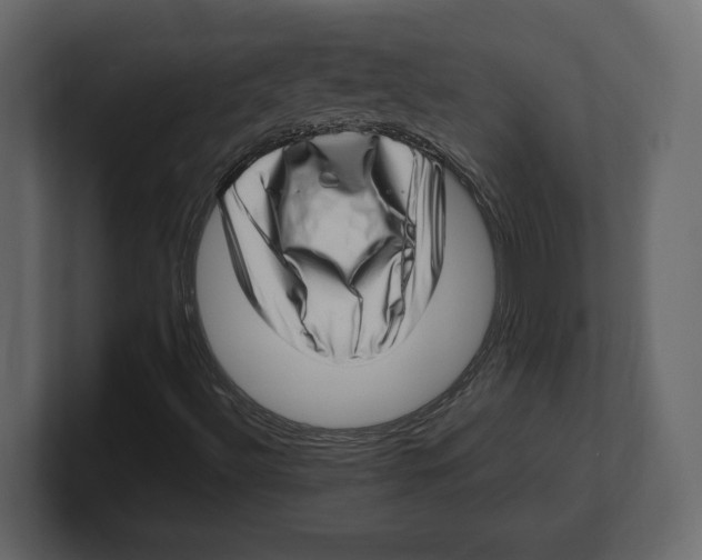 X0000100351492200806271351