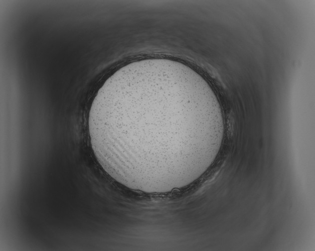 X0000100351494200806271351