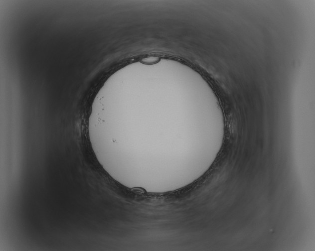 X0000100351495200806271351