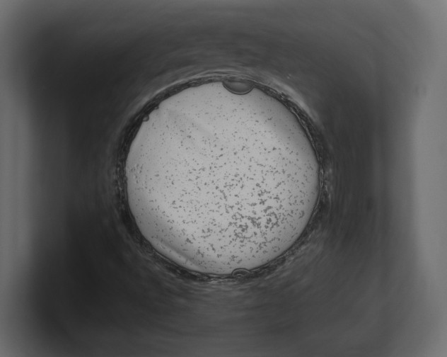 X0000100351496200806271351