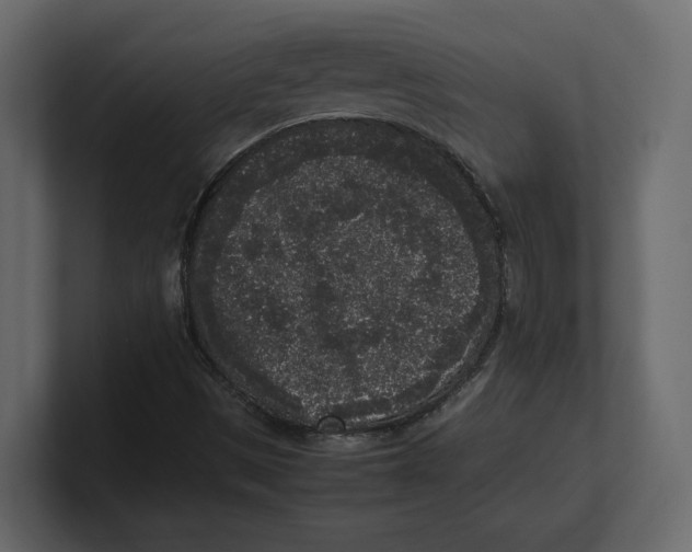X0000100351497200806271351