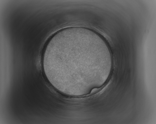 X0000100351498200806271351