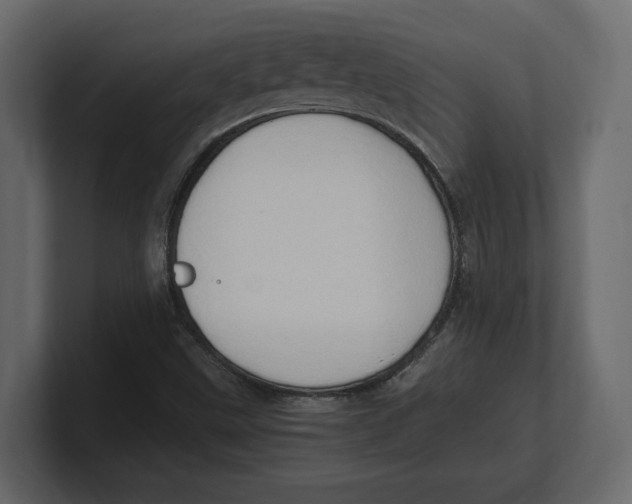 X0000100351499200806271351