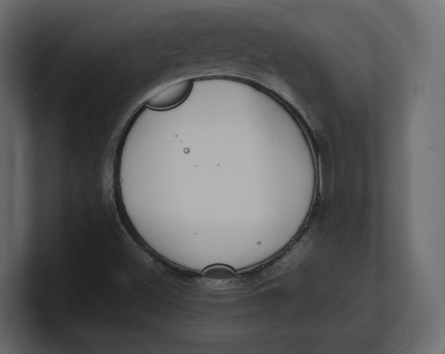 X0000100351500200806271351
