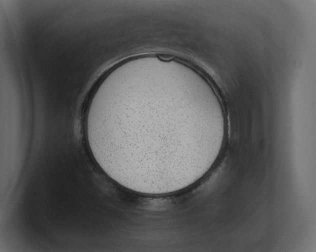 X0000100351501200806271351