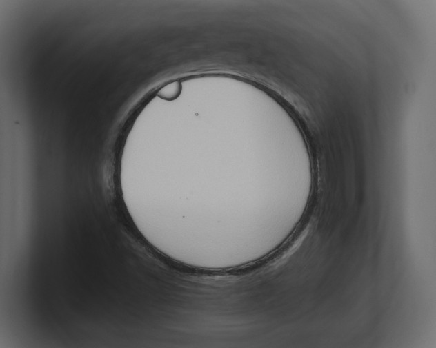 X0000100351502200806271351